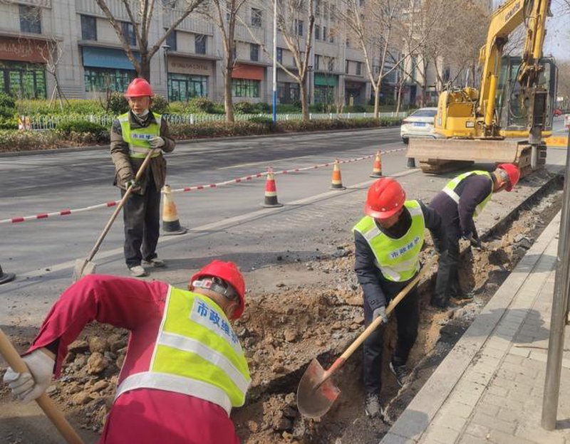 桥梁工程：如何巧妙选择合适的施工方案